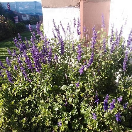 Coco De Mer Self Catering Log 1 Lambertʼs Bay Екстериор снимка
