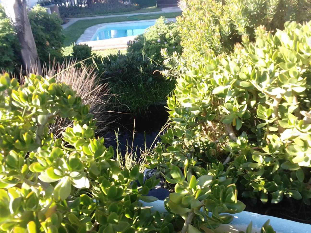 Coco De Mer Self Catering Log 1 Lambertʼs Bay Екстериор снимка